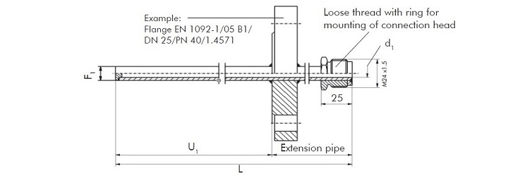 Protection Tubes Form 2F